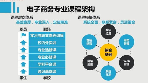 电子商务平台技术专业