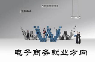 电子商务所包括哪些专业