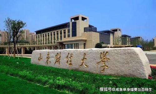 电子商务专业大学山东