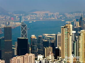 港科大宣布无条件录取哈佛国际生